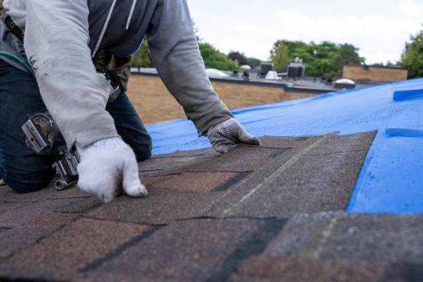 Best Rubber Roofing (EPDM, TPO)  in White Pine, TN